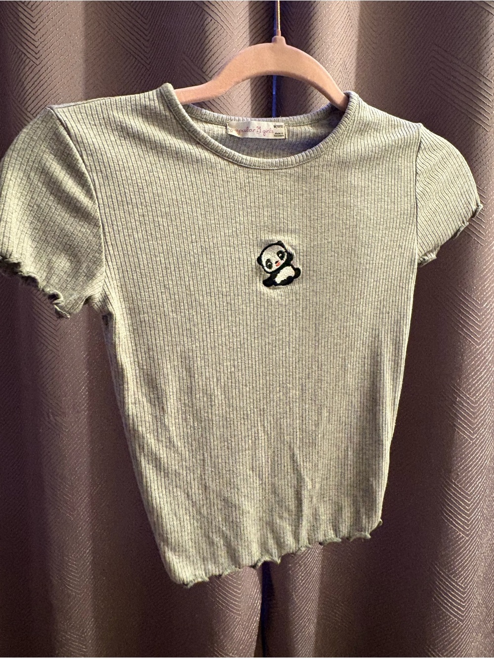 Panda Embroidered Ribbed Tee - Sage Green